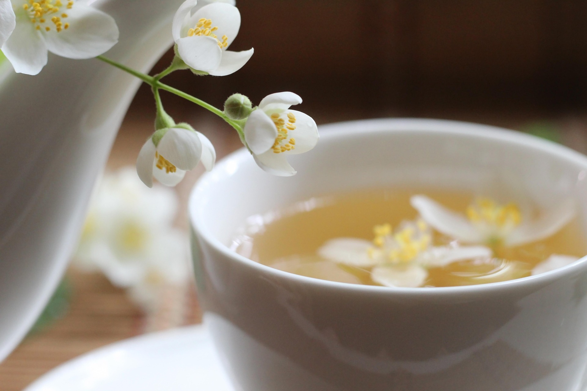 Jasmine tea cup
